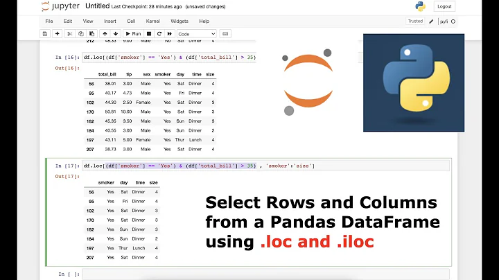 Selecting Rows and Columns from a Pandas DataFrame using .loc and .iloc