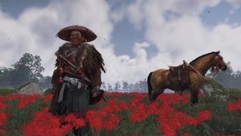 Ghost of Tsushima - Bird In Hand Idle Animation - 11th Encounter