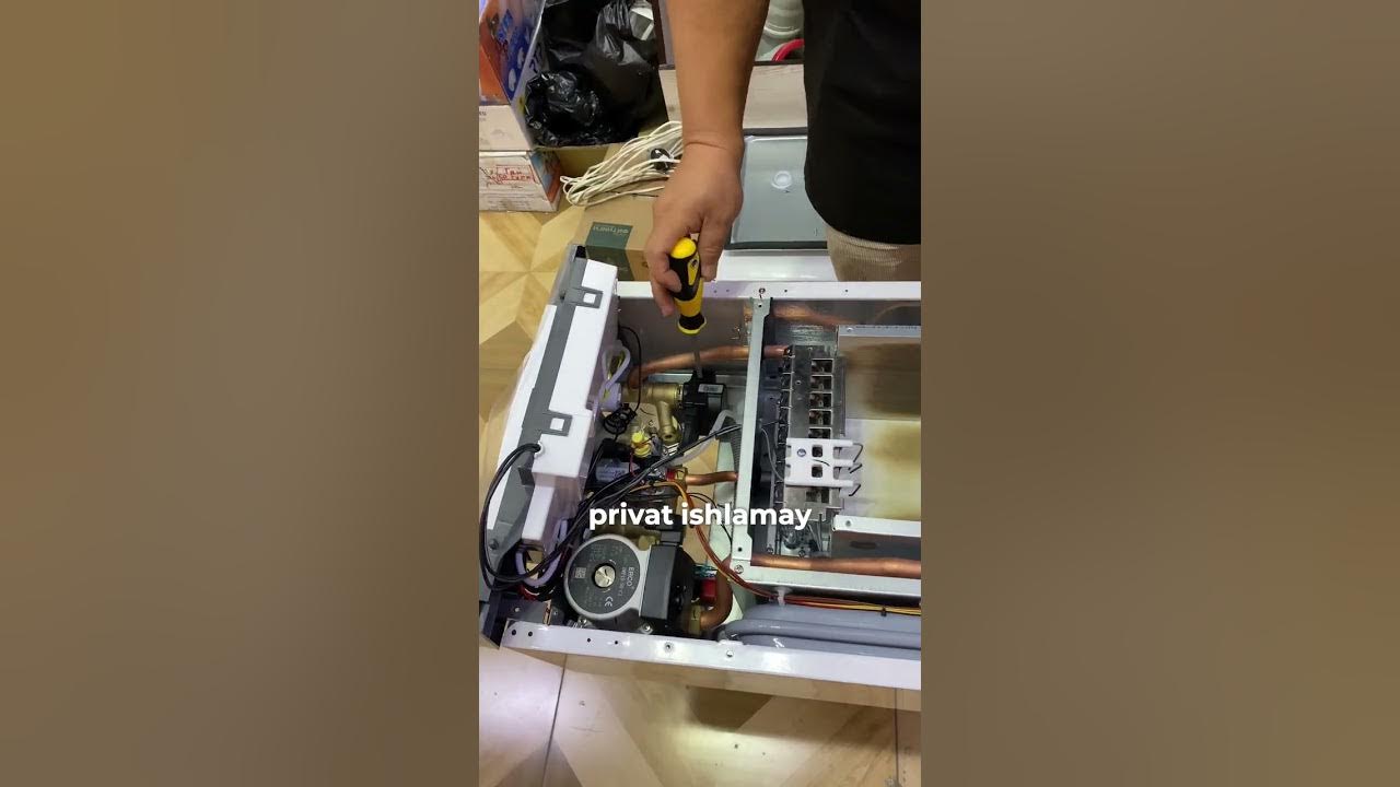 Yosh ayolning mushukining shaxsiy fotosurati