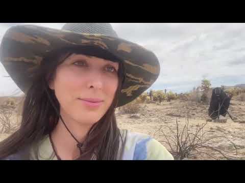 Art Model Adventure
