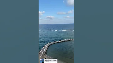 يابلدنا يا حلوه 