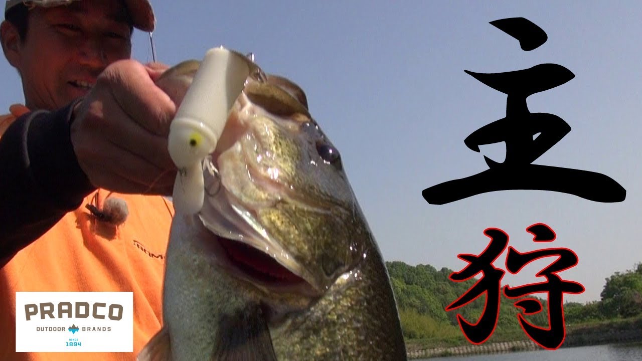 池の主を釣る宣言！ビッグバドに変えたその時…　ヘドンオールスターズ3　プラドコTVバス釣り動画