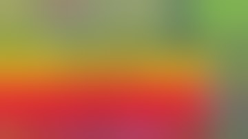 The drone got stuck in a tree and was freed, watch the interesting video