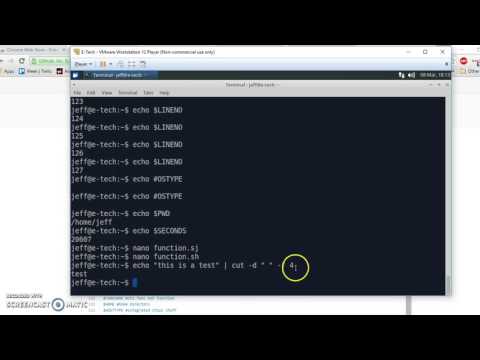 bash filter