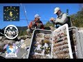 Pesca a mosca di trote temoli e alla ricerca di funghi Porcini Moll Gail Pipam Austria