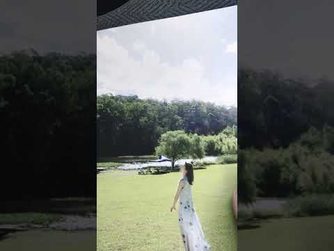 乃木坂46衛藤ミサミサを検索することに成功しました！