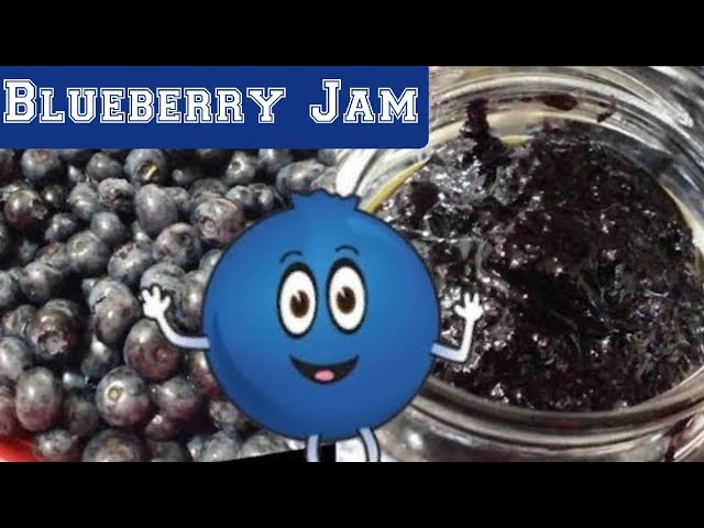 Blueberry Jam Recipe - How to make the best blueberry jam in town ! | Food Tamil - Samayal & Vlogs