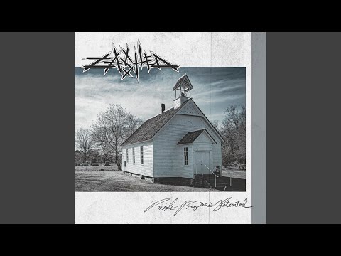 Zashed — Nothing is Real and Neither are You