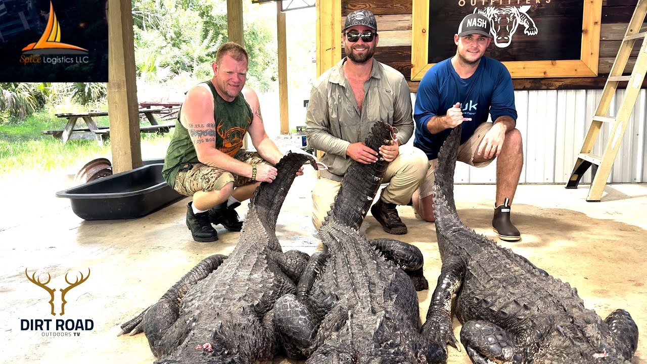 FLORIDA GATOR HUNTING WITH THE CREW FROM  SPICE LOGISTICS