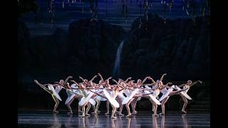 2021   Swan Lake SUN