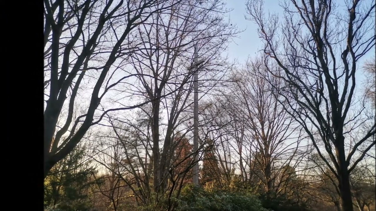 Noro Myxo - Ehrenfriedhof Heilbronn