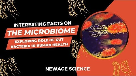 The Microbiome- Exploring Role of Gut Bacteria in Human Health #health #bacteria #biology #facts