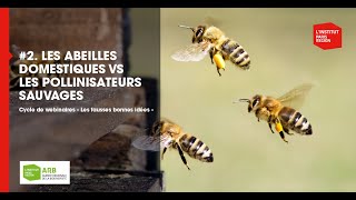 Les fausses bonnes idées : les abeilles domestiques vs les pollinisateurs