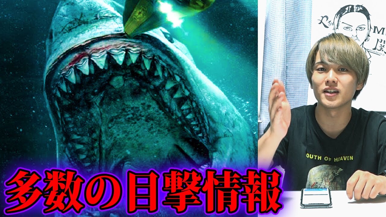 メガロドン生存説 都市伝説 Youtube