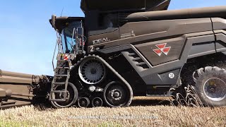 Massey Ferguson Ideal - Fendt / Getreideernte - Grain Harvest 2020 pt.1