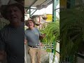 Consejo rápido de la semana
