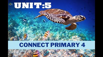 Connect 4 : unit 5 " Where do you work?"