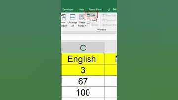 Split Window in MS Excel Tips & Tricks #short