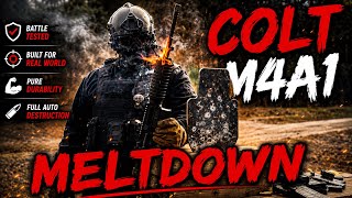 Colt M4A1 SOCOM Meltdown screenshot 4