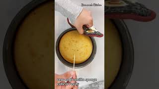 Vanilla Sponge Cake Recipe | YouTube Shorts | #Shorts