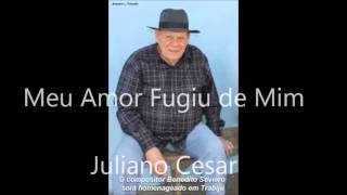 MEU AMOR FUGIU DE MIM