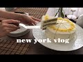 [NY vlog]🗽뉴욕 직장인 일상 | 열심히 해먹은 집밥 기록 | 뉴욕의 여름 | 케익 베이킹