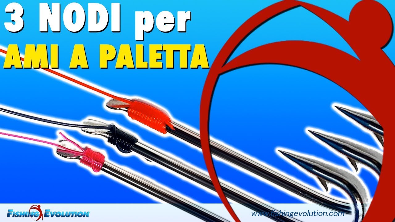 legatura ami legatura ami