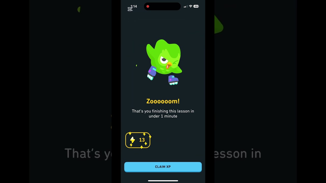 QUICK AND EASY TIPS ON DUOLINGO