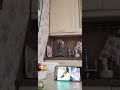 когда Филип смотрит мультик YouTube собака купаться