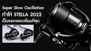 Super Slow Oscillation (ระดับใหม่) ทำให้ STELLA 2022 เป็นรอกยอดเยี่ยมที่สุด