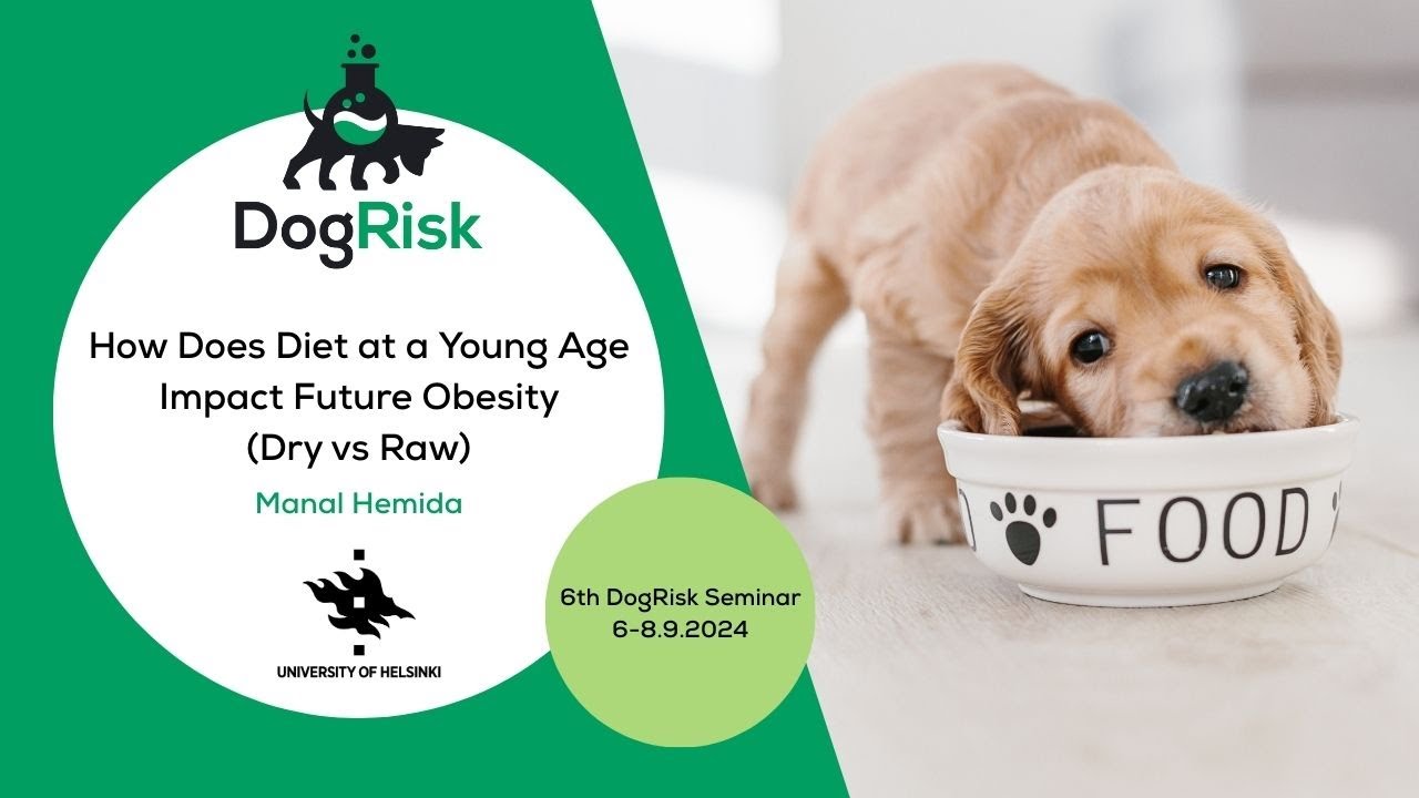 How Does Diet at a Young Age Impact Future Obesity? Dry vs. Raw