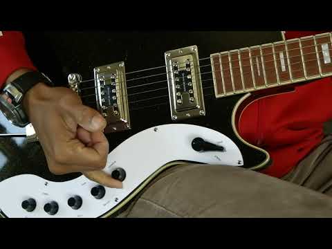 Silvertone 1423 Reissue