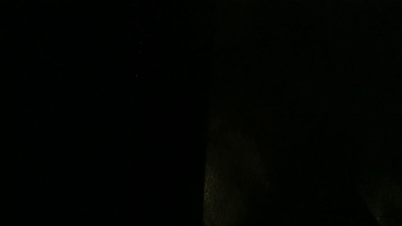 Four screech (loud noise warning) - YouTube