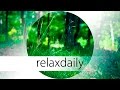 Slow and Peaceful Music - calm, reflective - N°046 (4K)