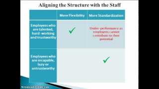 Organizational Structure, Part 2