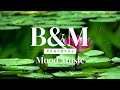 Beautiful Lotus Flower On Lake Calming Meditation Music Mood Music Relaxing Ambiance Yoga Reiki mp3