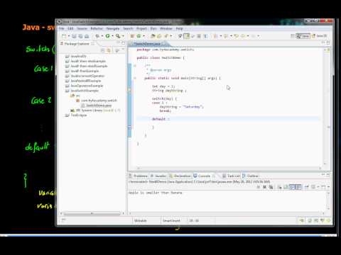 Java Switch Example