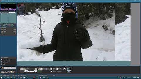 STOP/DJVU .repl extension JPEG Repair using DiskTuna