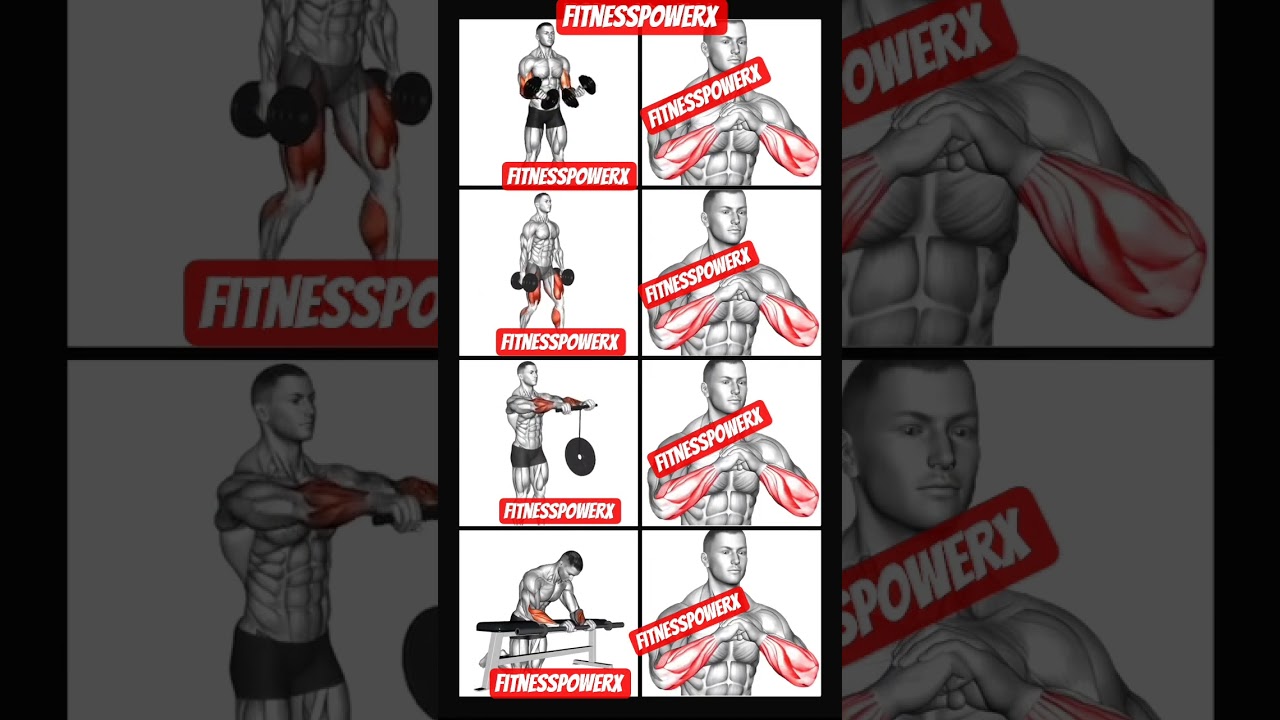 Forearm Workout for Strength & Grip 💪