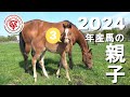 【24年産馬】2024年に産まれた仔馬とその母馬たち　その3【サラブレッド】