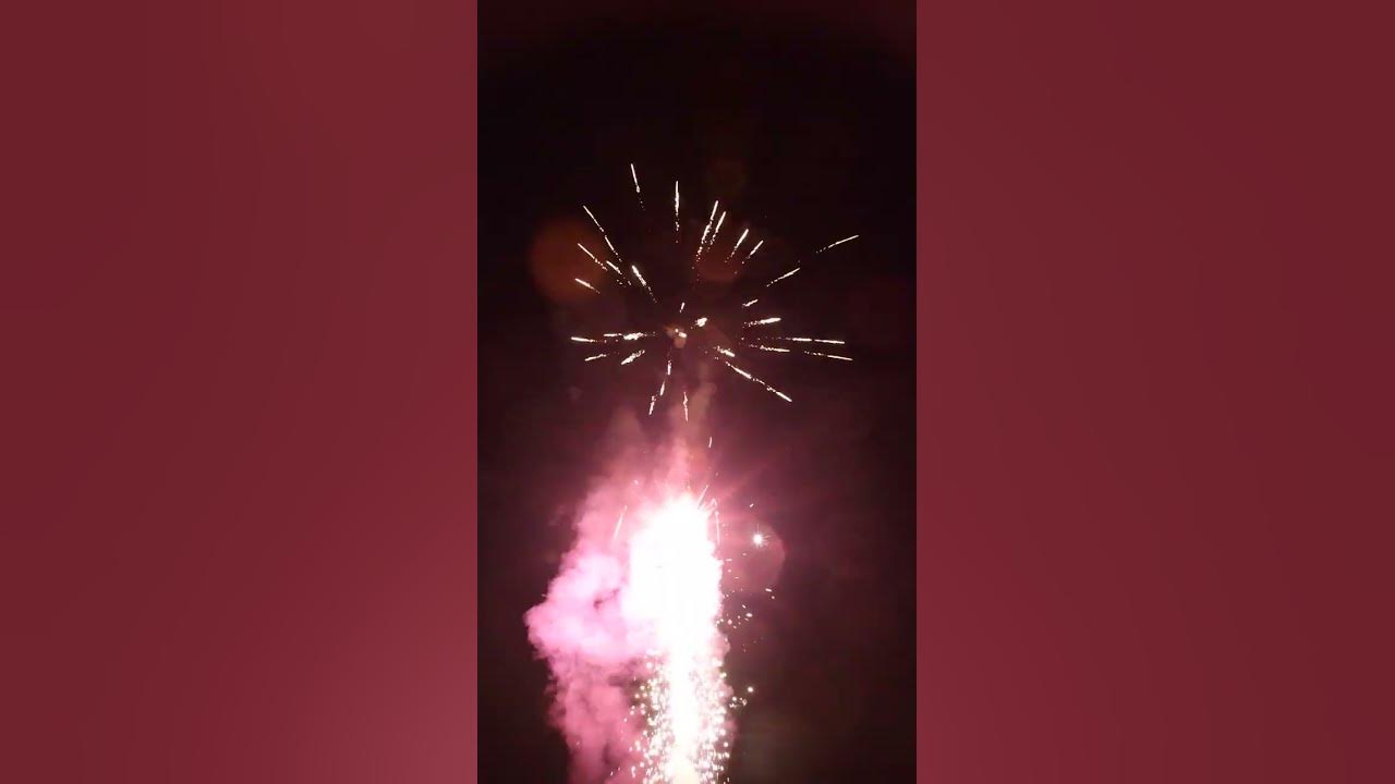 Pretty 😍 Little Bird 🦜 Firework YouTube