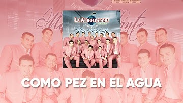 La Arrolladora Banda El Limón De René Camacho - Como Pez En El Agua (Lyric Video)