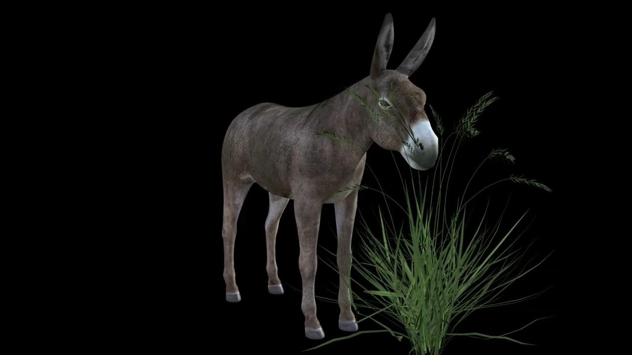 Donkey Munching Grass Sound Effect YouTube donkey-munching-grass-sound-effect-youtube