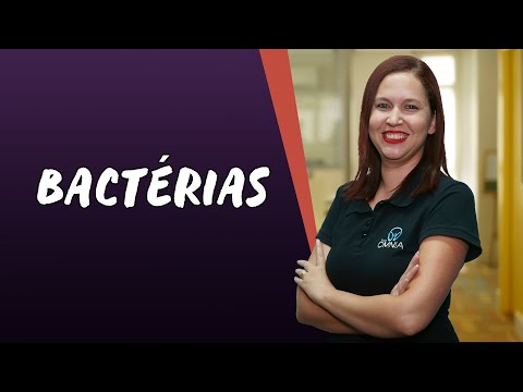 Bacterias Mundo Educacao