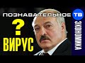 Почему президент Лукашенко не боится коронавируса? (Познавательное ТВ, Артём Войтенков)