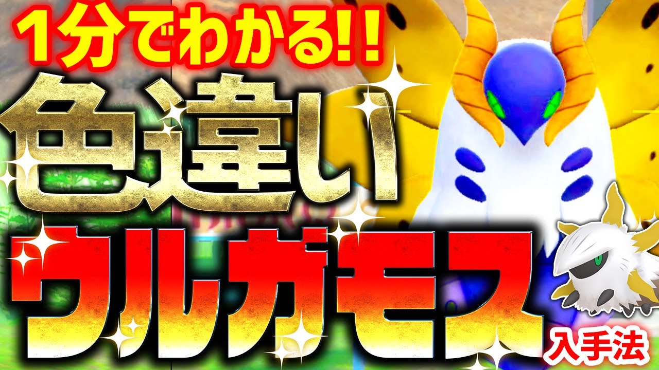 1分で分かる】色違いウルガモスをとんでもなく簡単に入手する方法