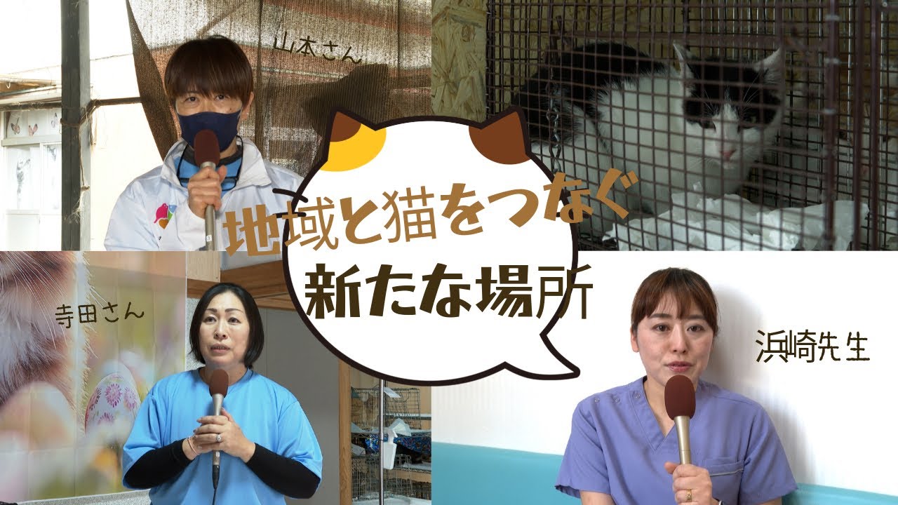 Nishimoro] A New Place Connecting the Community and Cats - YouTube
