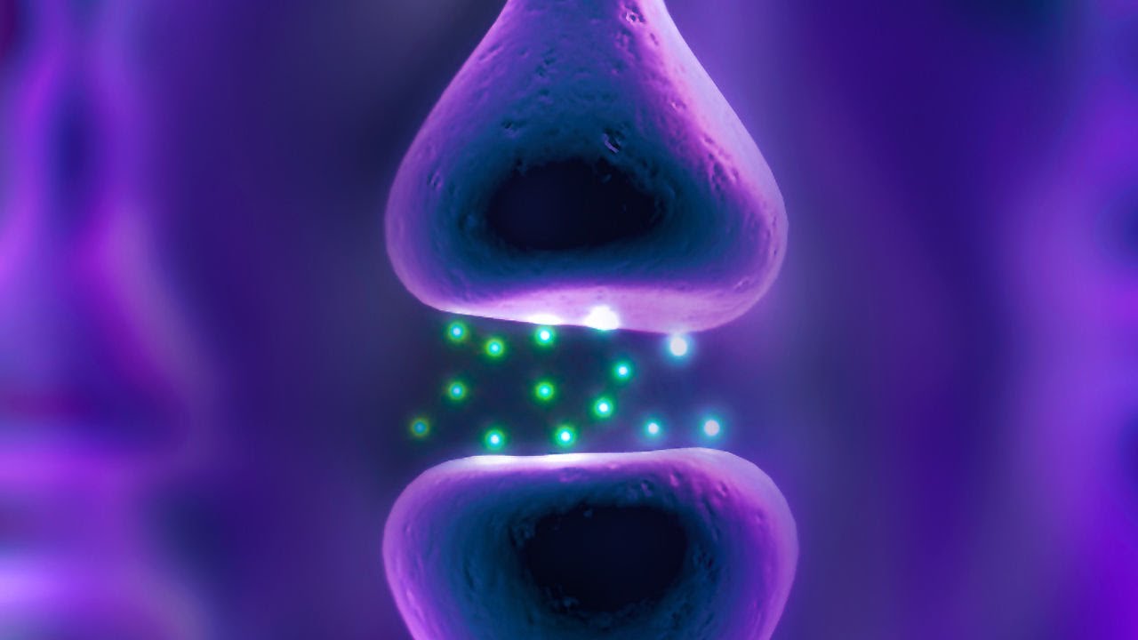 PTA202 - Motor Learning - YouTube