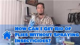 Pest Control Tips : How Can I Get Rid of Flies Without Spraying Insecticides?