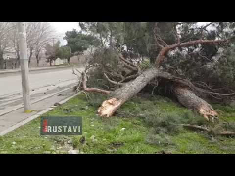 ავარიას მსხვერპლი მოჰყვა, დისტრიბუციის ავტომობილი ხეს შეეჯახა